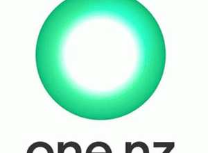 OneNZ logo